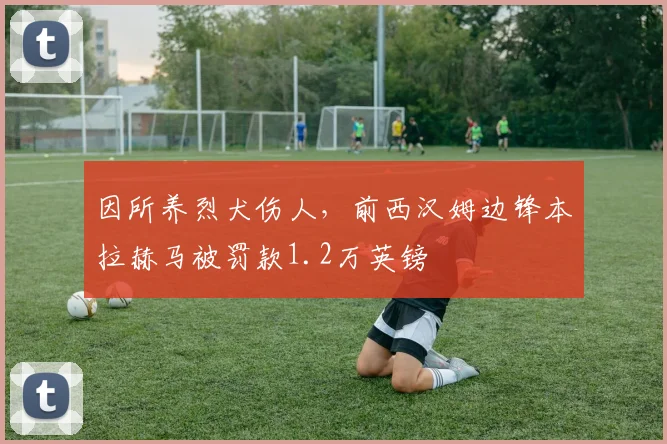 因所养烈犬伤人，前西汉姆边锋本拉赫马被罚款1.2万英镑