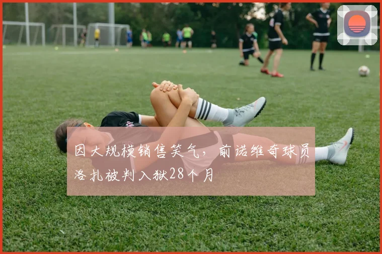 因大规模销售笑气，前诺维奇球员洛扎被判入狱28个月