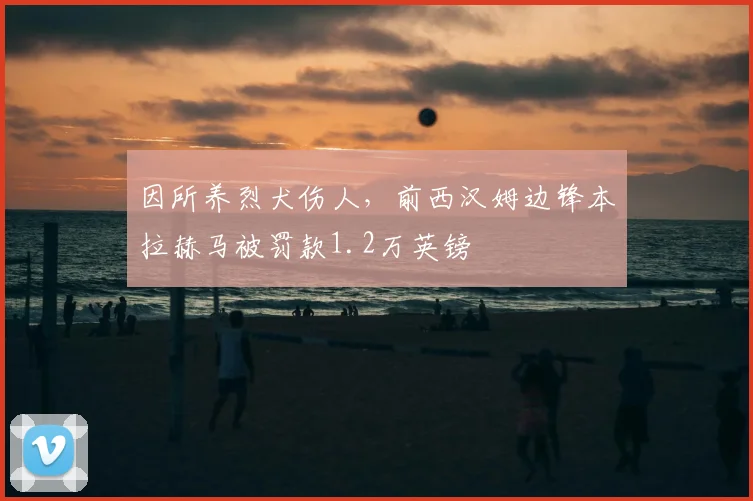 因所养烈犬伤人，前西汉姆边锋本拉赫马被罚款1.2万英镑